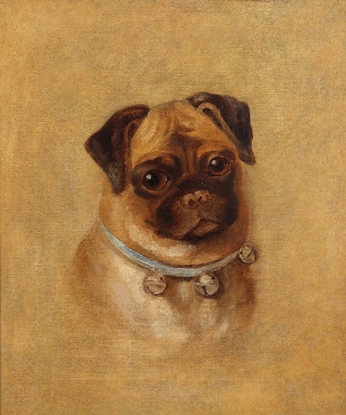 Portrait of a Pug