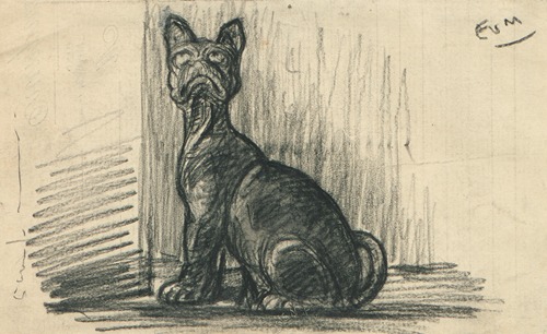 Een kat dat naar boven kijkt en het niet naar haar zin heeft.