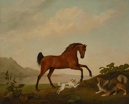 A prancing horse with two dogs, in a landscape