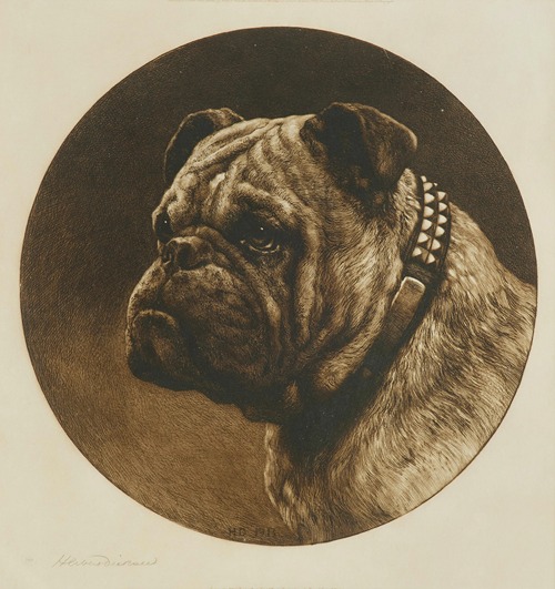 A British Bulldog