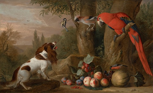 A spaniel with a macaw, blue tit, bluejay and a bullfinch with fruit in a landscape