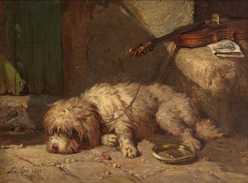 A break in the music – a Bichon or Maltese