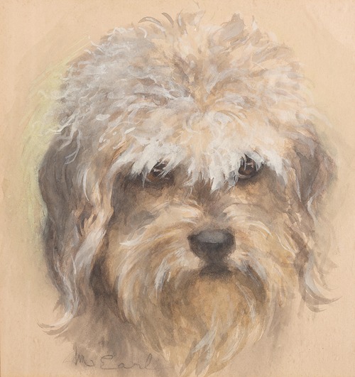 Portrait of a Dandie Dinmont