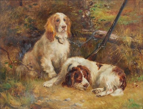 Spaniels at rest on the day’s shoot