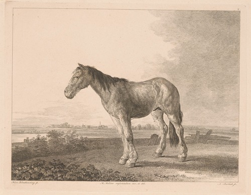 Standing horse in a river landscape
