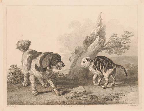 Dog and cat in fighting position facing each other