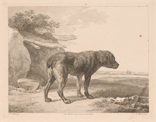 Standing dog in a landscape