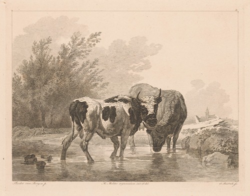 Two cows in a stream