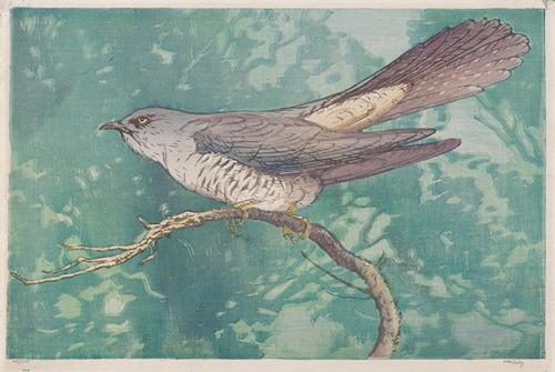 Cuckoo