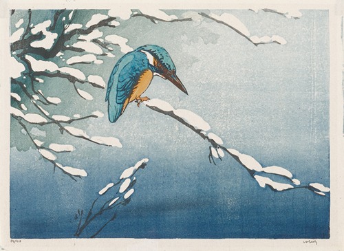 Kingfisher in Winter