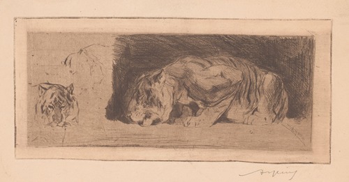 Studieblad met tijgers