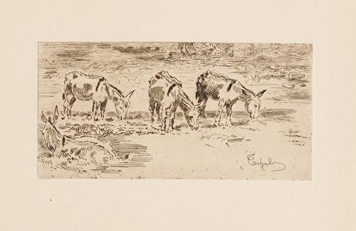 Four Donkeys in a Meadow