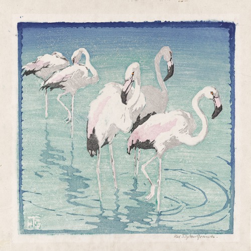 Flamingos