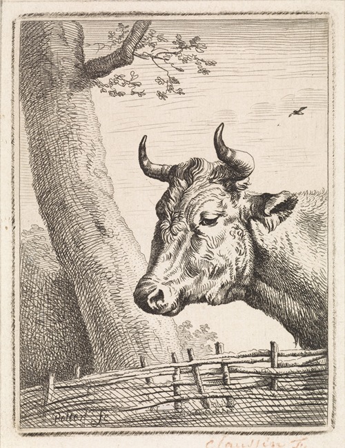 Kop van een koe