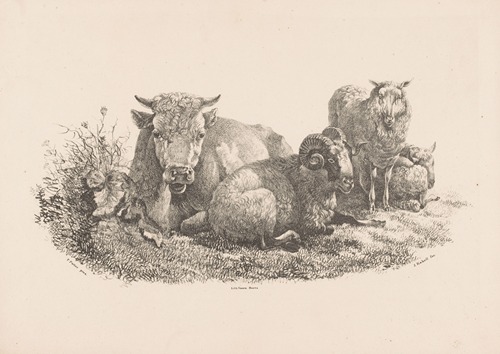 Koe, ram en twee schapen