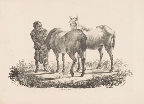 Man en twee paarden