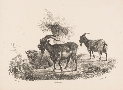 Twee geiten en een schaap bij een boom