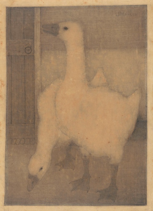 Twee ganzen