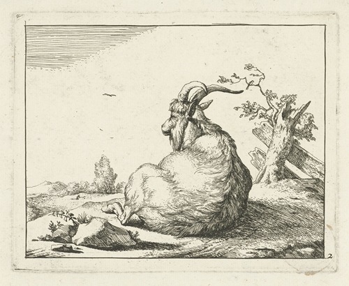 Bok zittend bij omgevallen boom
