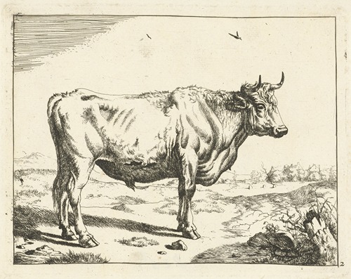 Stier, staand naar rechts, met vogels