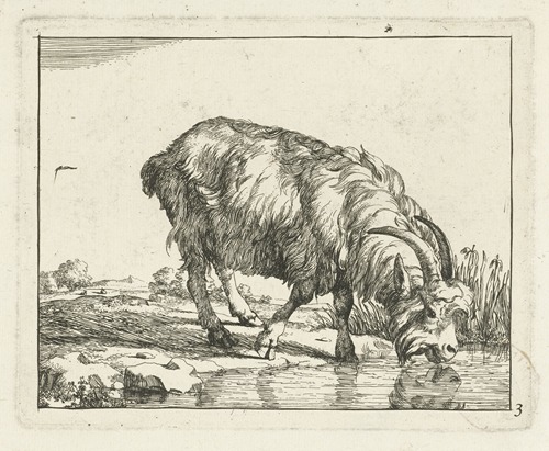 Drinkende bok