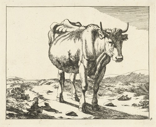 Staande koe