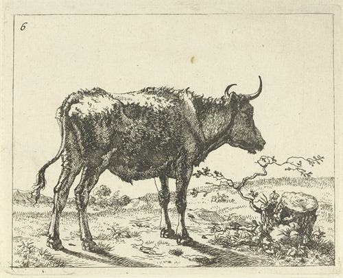 Stier staand bij boomstronk