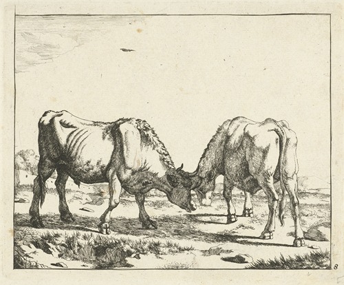 Twee stieren, de koppen bijeen