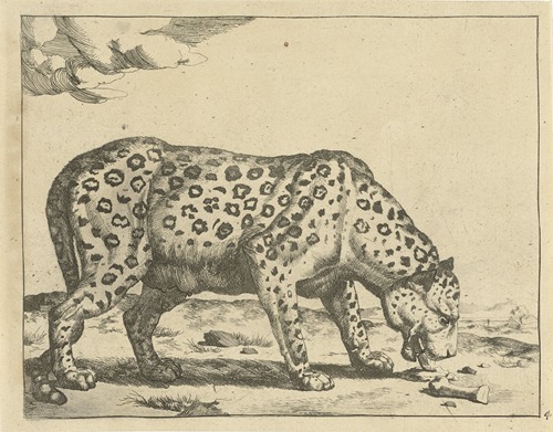Etend luipaard Luipaarden