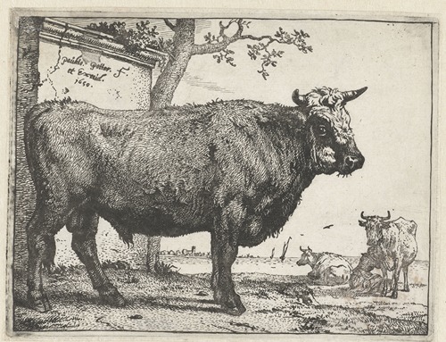 Bull