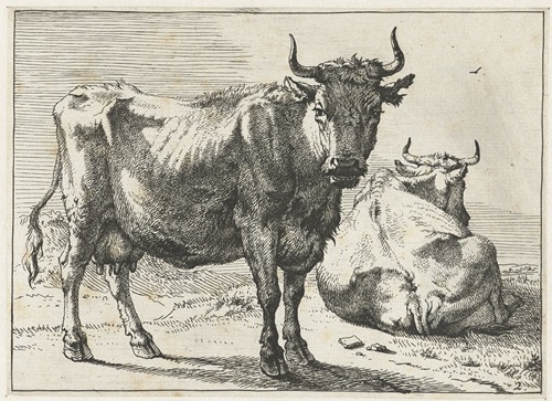 A standing cow and a lying cow
