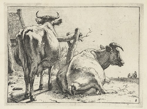 Two cows seen from behind