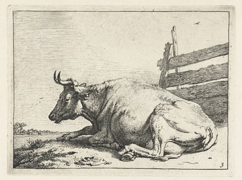 Cow lying near a fence