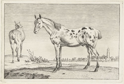 Het gecoupeerde paard Paarden