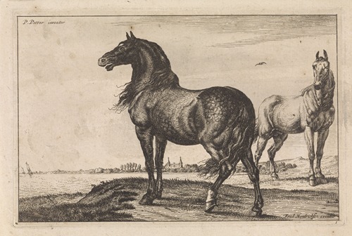 Hinnikend paard Paarden