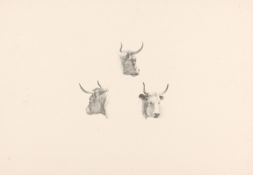 Drie ossekoppen