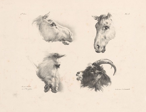 Drie paardenhoofden en een geitenkop