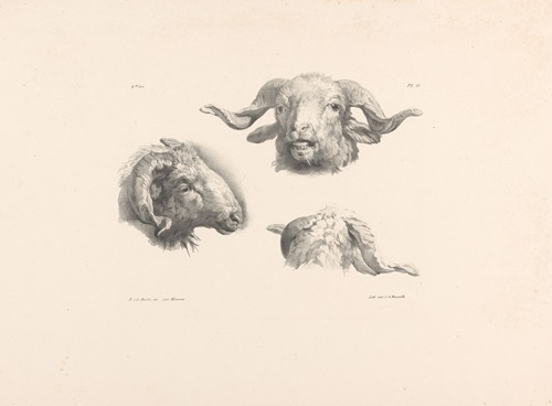 Drie ramskoppen