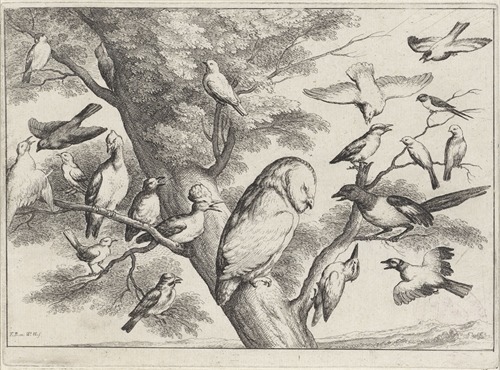 A Barn owl in a tree is surrounded and mobbed by birds of many sorts