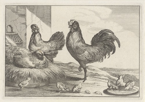 A cock, chicken, hen, and six chicks in a farmyard