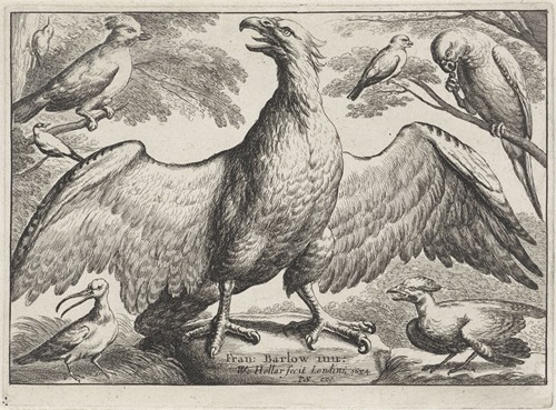An eagle with outstretched wings standing on a rock, surrounded by six other birds