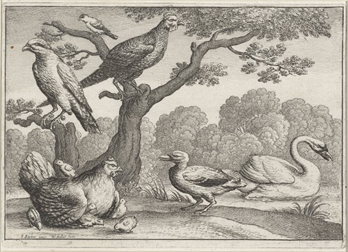 Birds by a river; a swan and duck, a chicken with a brood of chicks, another fowl and two more birds in a tree