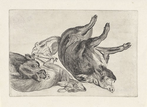 Dead wild boar lying on its right side, another with his head on a dead deer