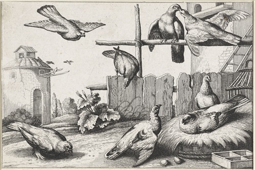 Eight pigeons in a farmyard near a coup; a dovecote in the background