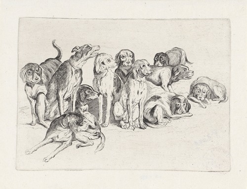 Eleven Hounds