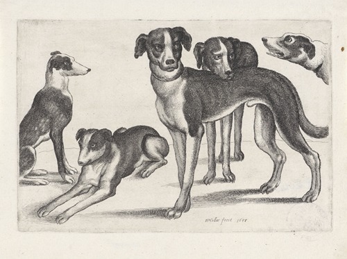 Five hounds, the one at far left sitting, the next one lying, others standing