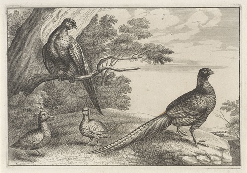 Four pheasants in a wooded landscape, one of them standing on a tree branch at left