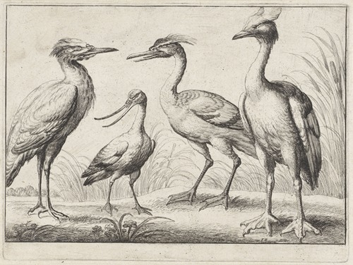 Four wading birds standing on a river bank