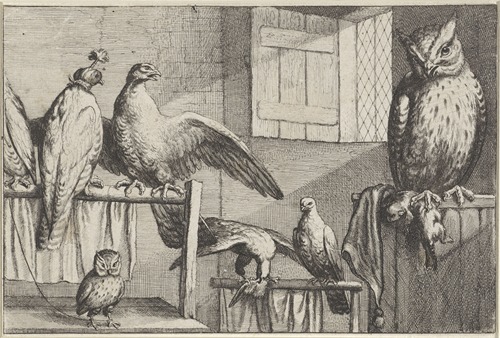 Inside a brickwalled room with an open window, several captive birds rest on wooden perches