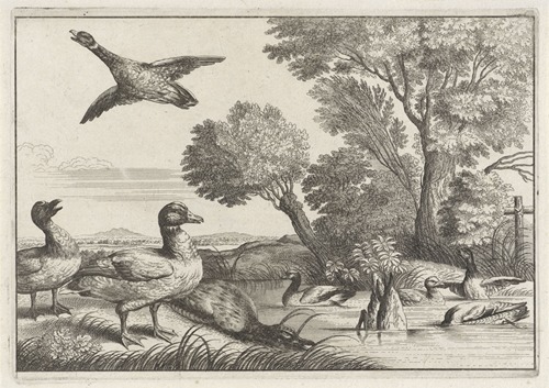 Nine ducks in a variety of poses in a river landscape with willow trees